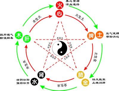 莉五行|莉字的五行属性是什么